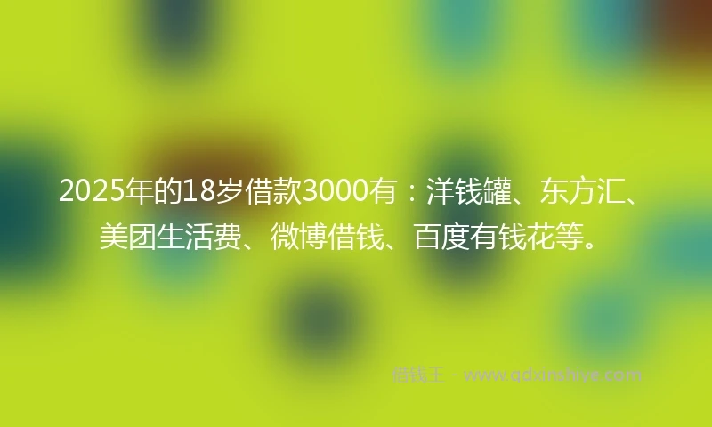 2025年的18岁借款3000有：洋钱罐、东方汇、美团生活费、微博借钱、百度有钱花等。