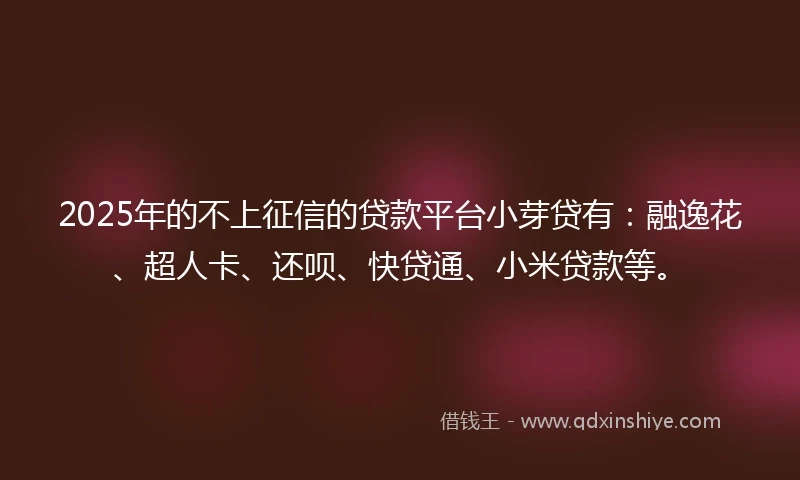 2025年的不上征信的贷款平台小芽贷有：融逸花、超人卡、还呗、快贷通、小米贷款等。