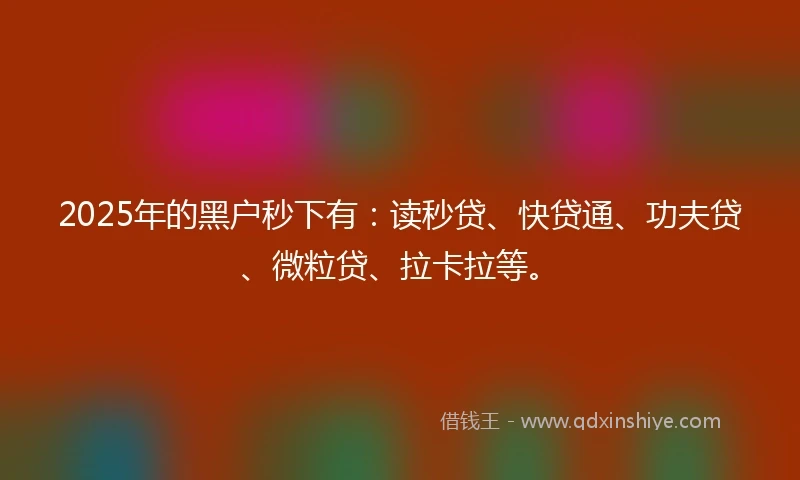 2025年的黑户秒下有：读秒贷、快贷通、功夫贷、微粒贷、拉卡拉等。