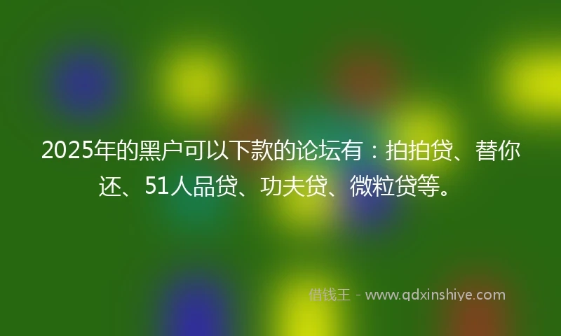 2025年的黑户可以下款的论坛有：拍拍贷、替你还、51人品贷、功夫贷、微粒贷等。