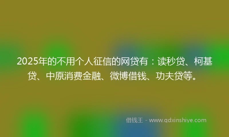 2025年的不用个人征信的网贷有：读秒贷、柯基贷、中原消费金融、微博借钱、功夫贷等。