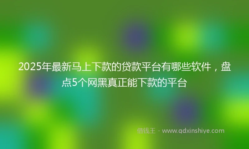 2025年最新马上下款的贷款平台有哪些软件，盘点5个网黑真正能下款的平台