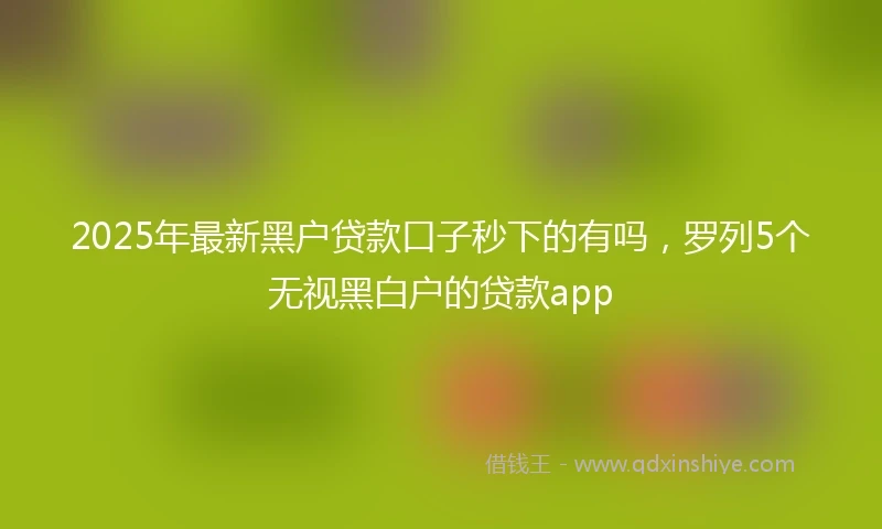 2025年最新黑户贷款口子秒下的有吗，罗列5个无视黑白户的贷款app