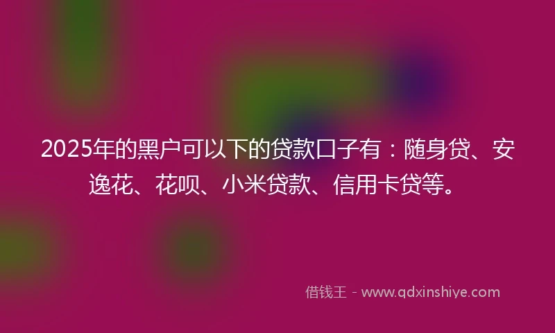 2025年的黑户可以下的贷款口子有：随身贷、安逸花、花呗、小米贷款、信用卡贷等。