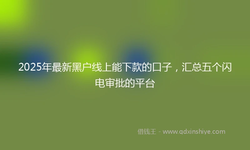 2025年最新黑户线上能下款的口子,汇总五个闪电审批的平台