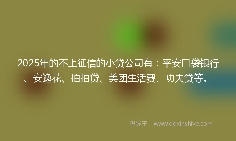 2025年的不上征信的小贷公司有：平安口袋银行、安逸花、拍拍贷、美团生活费、功夫贷等。