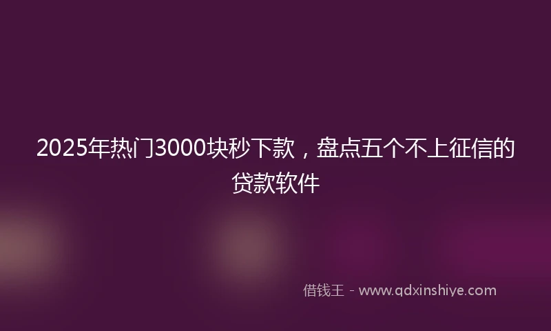 2025年热门3000块秒下款，盘点五个不上征信的贷款软件