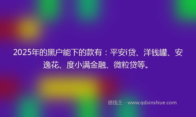 2025年的黑户能下的款有：平安i贷、洋钱罐、安逸花、度小满金融、微粒贷等。