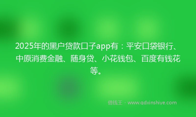 2025年的黑户贷款口子app有：平安口袋银行、中原消费金融、随身贷、小花钱包、百度有钱花等。
