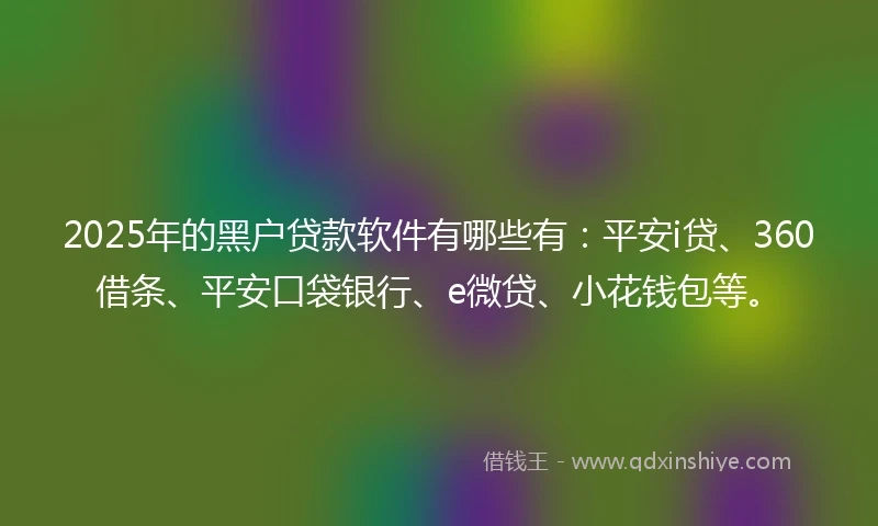 2025年的黑户贷款软件有哪些有:平安i贷、360借条、平安口袋银行、e微贷、小花钱包等。