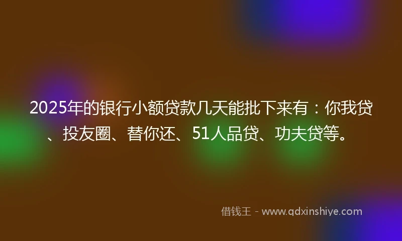 2025年的银行小额贷款几天能批下来有：你我贷、投友圈、替你还、51人品贷、功夫贷等。