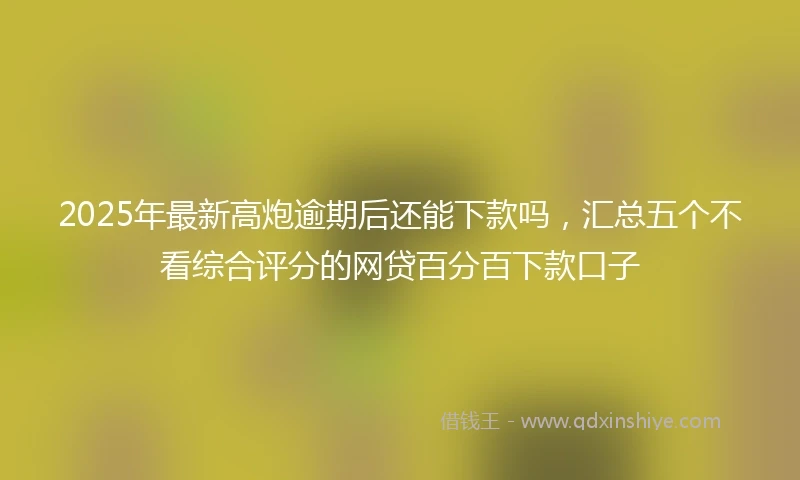 2025年最新高炮逾期后还能下款吗，汇总五个不看综合评分的网贷百分百下款口子