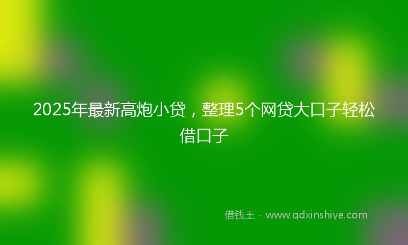 2025年最新高炮小贷，整理5个网贷大口子轻松借口子