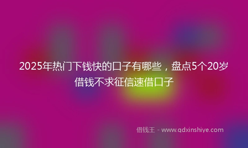 2025年热门下钱快的口子有哪些，盘点5个20岁借钱不求征信速借口子