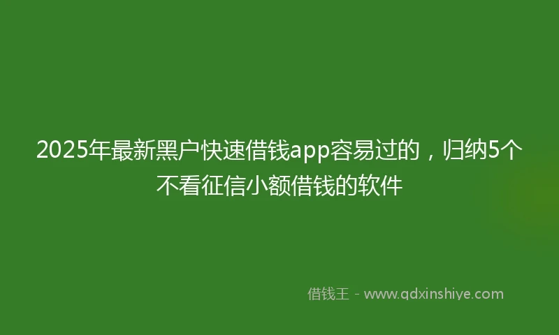 2025年最新黑户快速借钱app容易过的，归纳5个不看征信小额借钱的软件