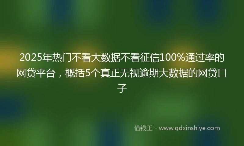 2025年热门不看大数据不看征信100%通过率的网贷平台，概括5个真正无视逾期大数据的网贷口子