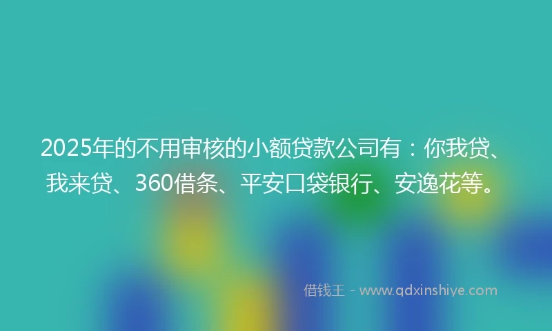 2025年的不用审核的小额贷款公司有：你我贷、我来贷、360借条、平安口袋银行、安逸花等。