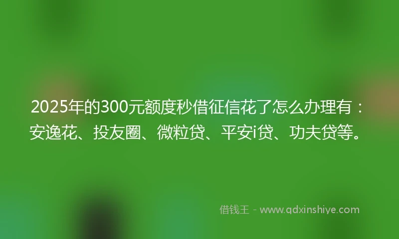 2025年的300元额度秒借征信花了怎么办理有:安逸花、投友圈、微粒贷、平安i贷、功夫贷等。