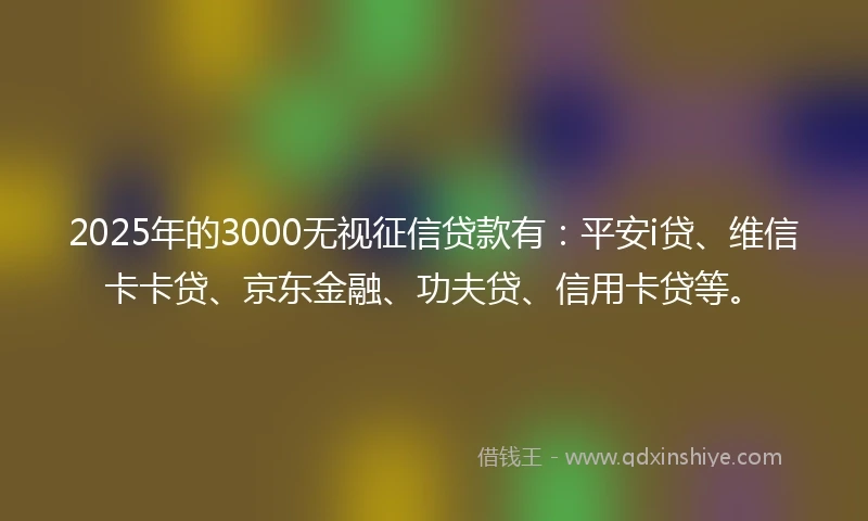 2025年的3000无视征信贷款有：平安i贷、维信卡卡贷、京东金融、功夫贷、信用卡贷等。