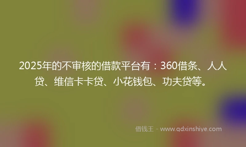 2025年的不审核的借款平台有：360借条、人人贷、维信卡卡贷、小花钱包、功夫贷等。