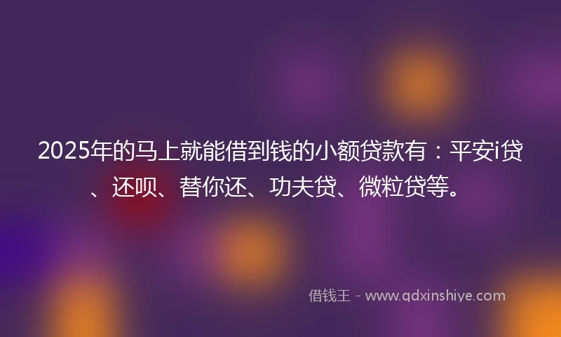 2025年的马上就能借到钱的小额贷款有：平安i贷、还呗、替你还、功夫贷、微粒贷等。