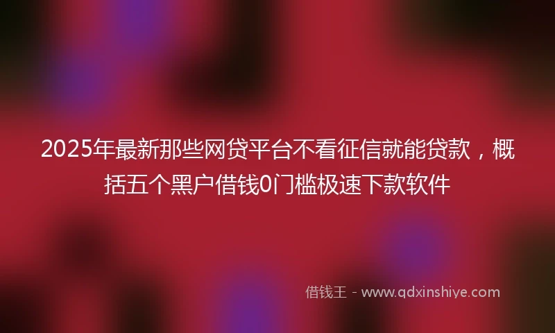 2025年最新那些网贷平台不看征信就能贷款，概括五个黑户借钱0门槛极速下款软件