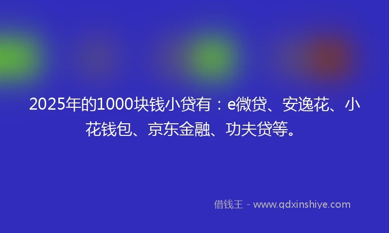 2025年的1000块钱小贷有：e微贷、安逸花、小花钱包、京东金融、功夫贷等。