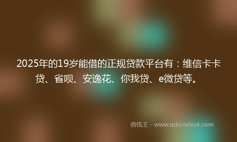 2025年的19岁能借的正规贷款平台有：维信卡卡贷、省呗、安逸花、你我贷、e微贷等。