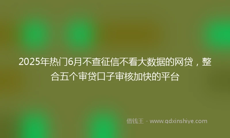 2025年热门6月不查征信不看大数据的网贷，整合五个审贷口子审核加快的平台