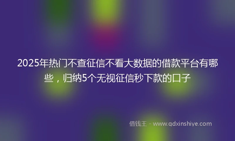 2025年热门不查征信不看大数据的借款平台有哪些，归纳5个无视征信秒下款的口子