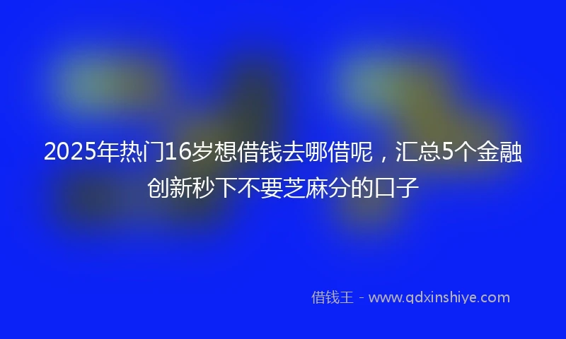 2025年热门16岁想借钱去哪借呢，汇总5个金融创新秒下不要芝麻分的口子