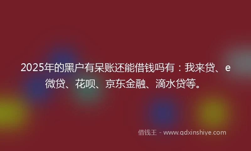 2025年的黑户有呆账还能借钱吗有：我来贷、e微贷、花呗、京东金融、滴水贷等。
