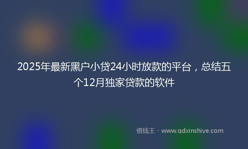 2025年最新黑户小贷24小时放款的平台,总结五个12月独家贷款的软件