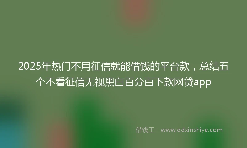 2025年热门不用征信就能借钱的平台款，总结五个不看征信无视黑白百分百下款网贷app