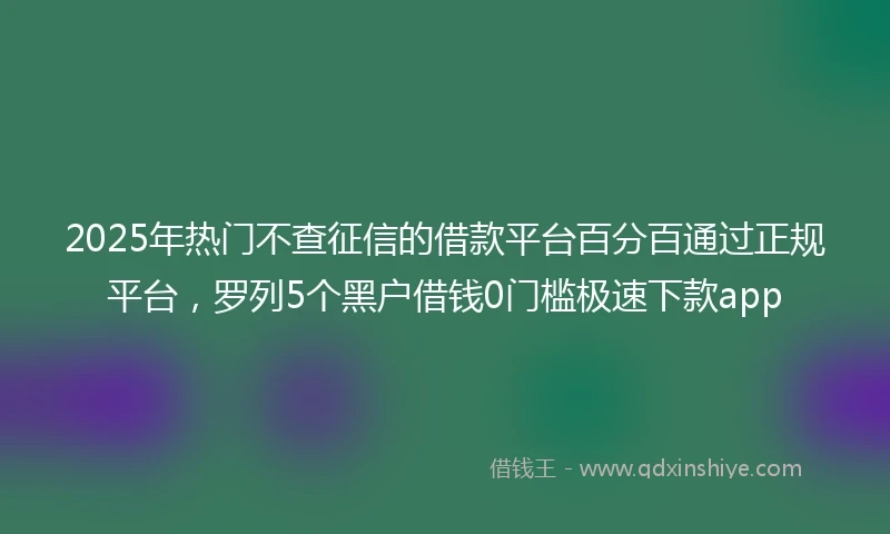 2025年热门不查征信的借款平台百分百通过正规平台,罗列5个黑户借钱0门槛极速下款app