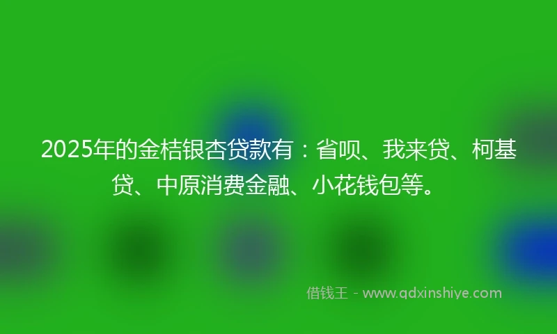2025年的金桔银杏贷款有：省呗、我来贷、柯基贷、中原消费金融、小花钱包等。