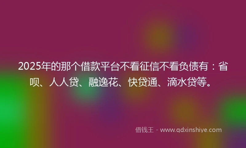 2025年的那个借款平台不看征信不看负债有：省呗、人人贷、融逸花、快贷通、滴水贷等。