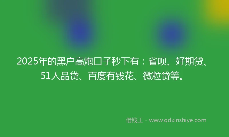 2025年的黑户高炮口子秒下有：省呗、好期贷、51人品贷、百度有钱花、微粒贷等。