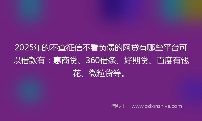2025年的不查征信不看负债的网贷有哪些平台可以借款有：惠商贷、360借条、好期贷、百度有钱花、微粒贷等。
