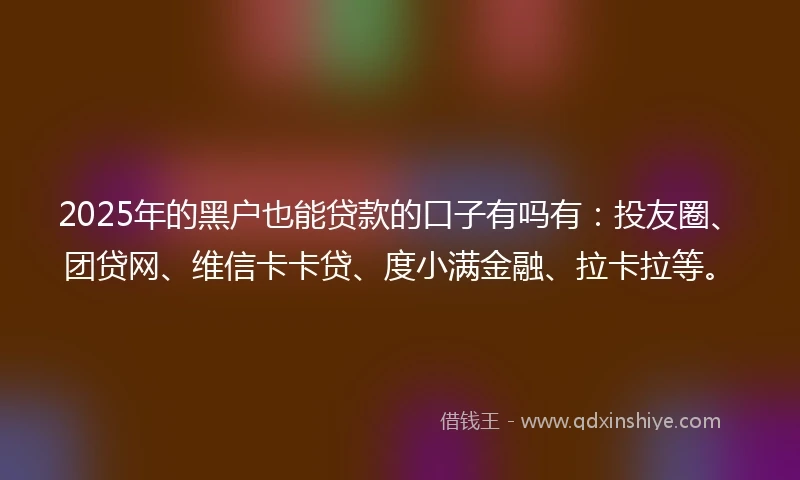 2025年的黑户也能贷款的口子有吗有：投友圈、团贷网、维信卡卡贷、度小满金融、拉卡拉等。