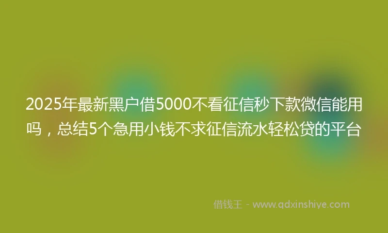 2025年最新黑户借5000不看征信秒下款微信能用吗，总结5个急用小钱不求征信流水轻松贷的平台