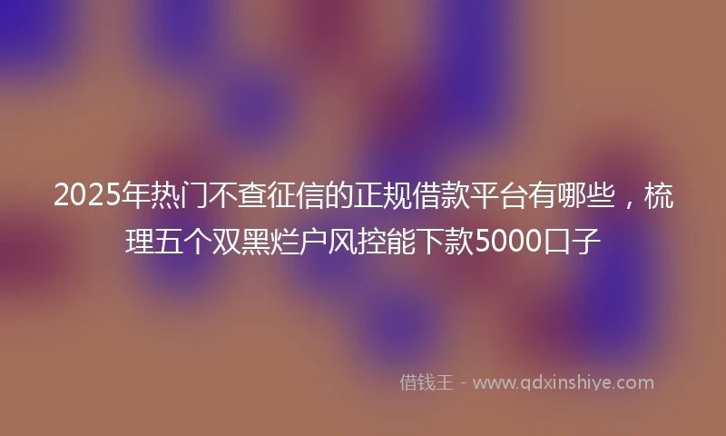 2025年热门不查征信的正规借款平台有哪些，梳理五个双黑烂户风控能下款5000口子