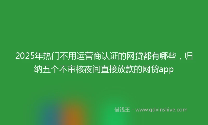 2025年热门不用运营商认证的网贷都有哪些，归纳五个不审核夜间直接放款的网贷app