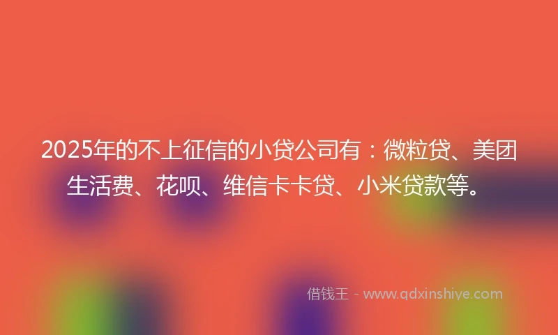2025年的不上征信的小贷公司有：微粒贷、美团生活费、花呗、维信卡卡贷、小米贷款等。