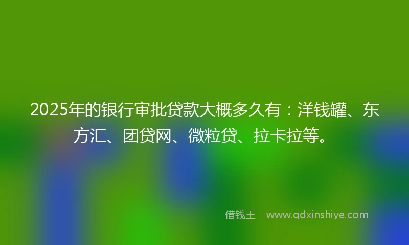 2025年的银行审批贷款大概多久有：洋钱罐、东方汇、团贷网、微粒贷、拉卡拉等。