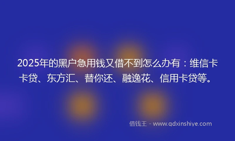 2025年的黑户急用钱又借不到怎么办有：维信卡卡贷、东方汇、替你还、融逸花、信用卡贷等。