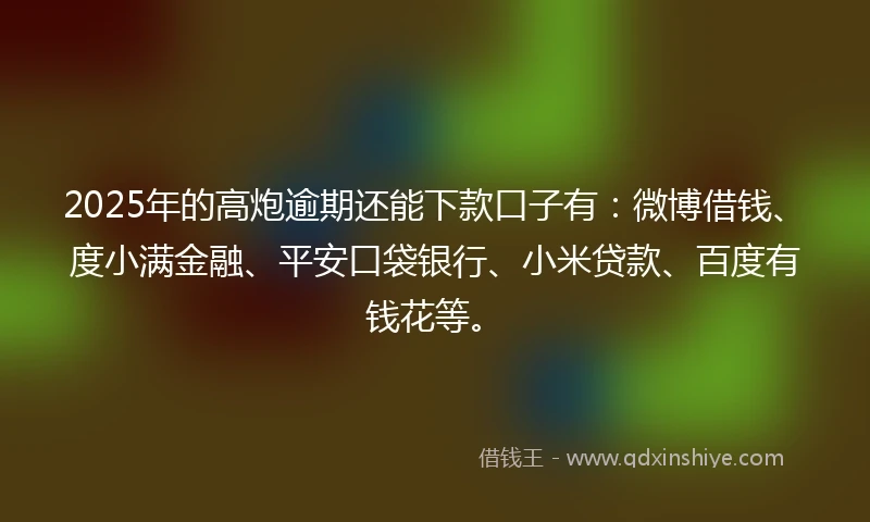 2025年的高炮逾期还能下款口子有:微博借钱、度小满金融、平安口袋银行、小米贷款、百度有钱花等。