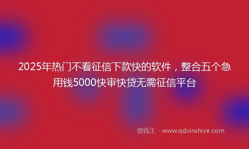2025年热门不看征信下款快的软件，整合五个急用钱5000快审快贷无需征信平台