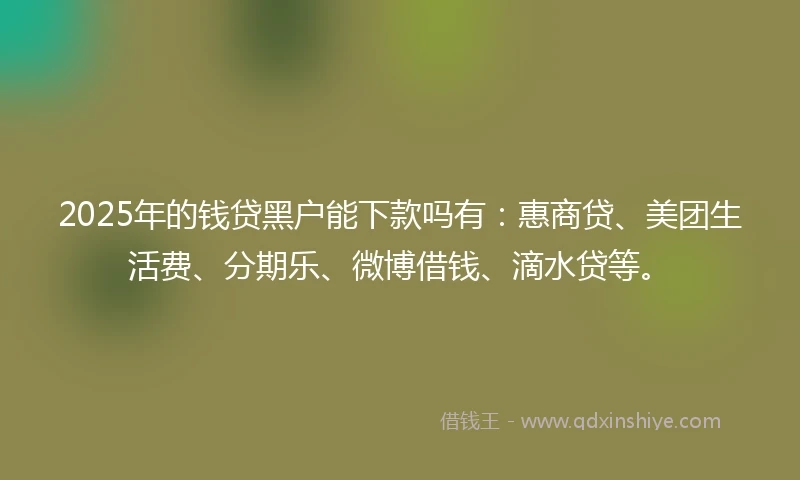 2025年的钱贷黑户能下款吗有：惠商贷、美团生活费、分期乐、微博借钱、滴水贷等。
