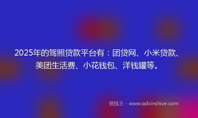 2025年的驾照贷款平台有：团贷网、小米贷款、美团生活费、小花钱包、洋钱罐等。